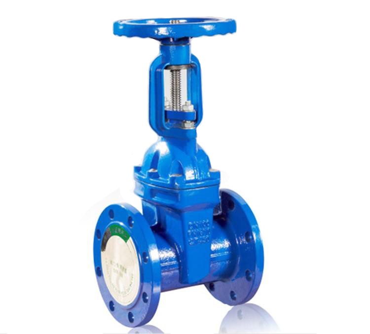 gate valve